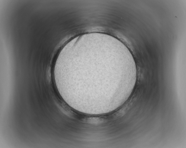 X0000111190298200907291209