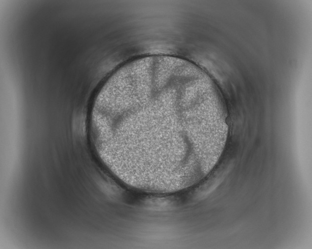 X0000111190299200907291209