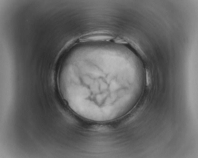 X0000111190300200907291209