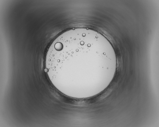X0000111190301200907291209