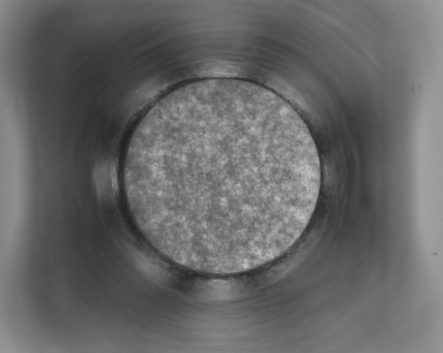 X0000111190302200907291209