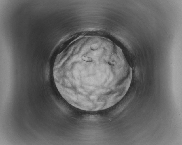 X0000111190304200907291209