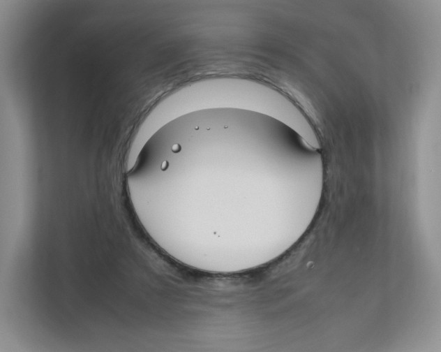 X0000111190305200907291209