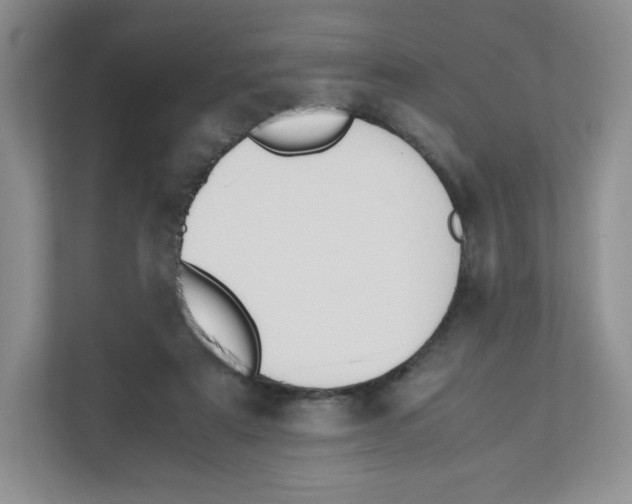 X0000111190307200907291209