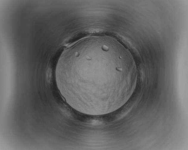 X0000111190308200907291209