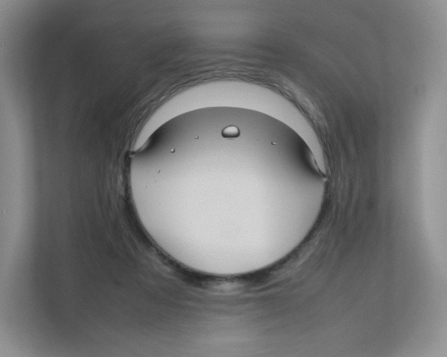 X0000111190313200907291209