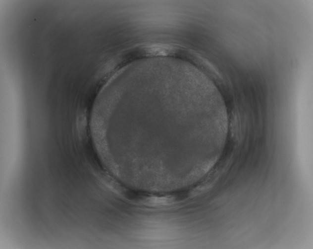X0000111190314200907291209