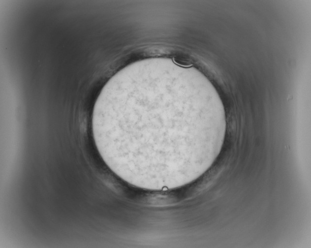X0000111190315200907291209