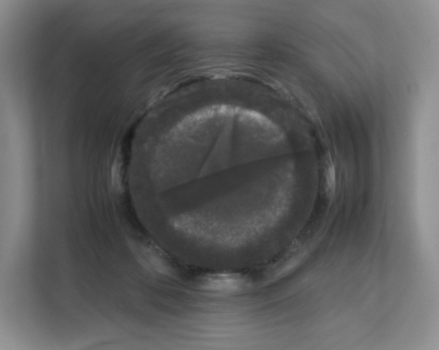 X0000111190316200907291209