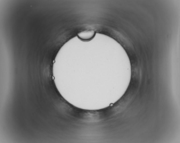 X0000111190317200907291209