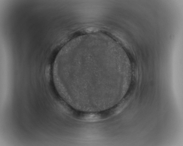 X0000111190319200907291209