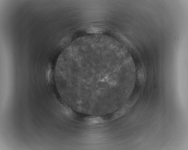 X0000111190322200907291209
