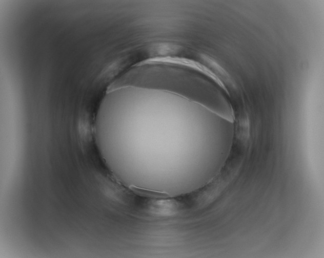 X0000111190324200907291209