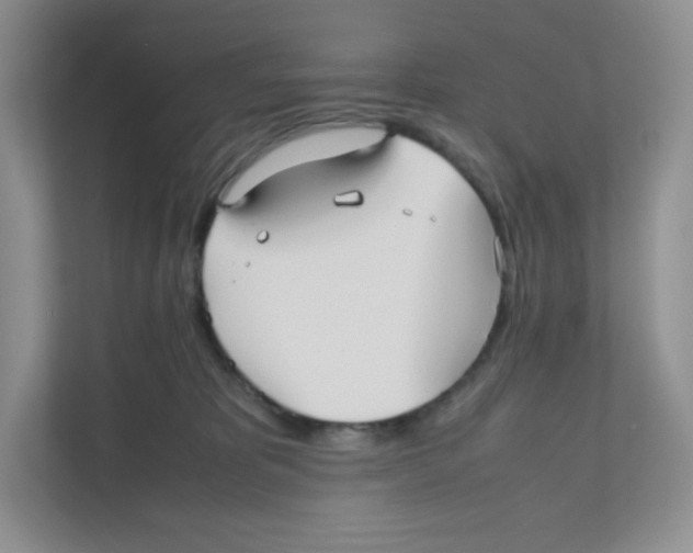 X0000111190325200907291209