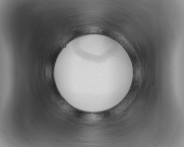 X0000111190326200907291209
