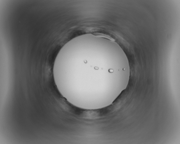 X0000111190327200907291209