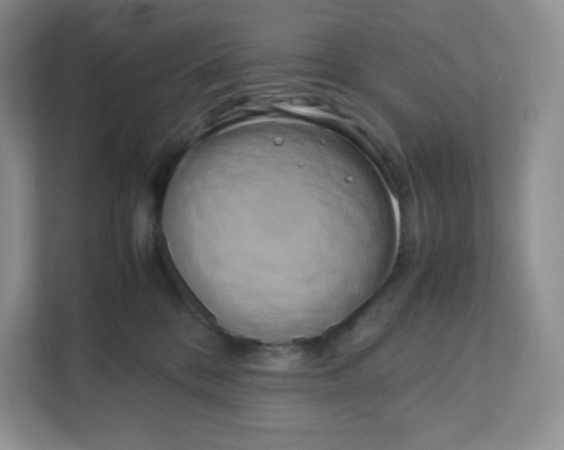 X0000111190328200907291209