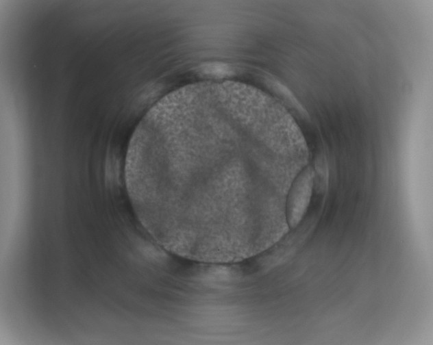 X0000111190330200907291209