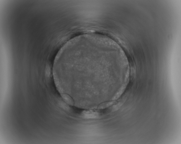X0000111190331200907291209