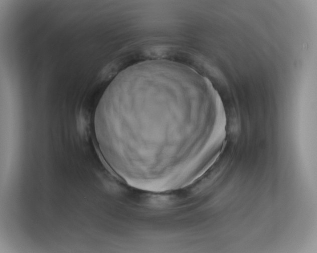 X0000111190332200907291209
