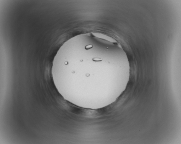 X0000111190333200907291209