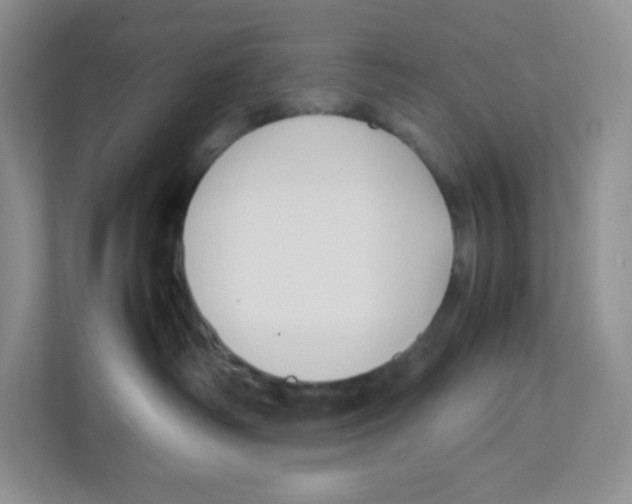 X0000111190334200907291209