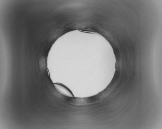 X0000111190335200907291209