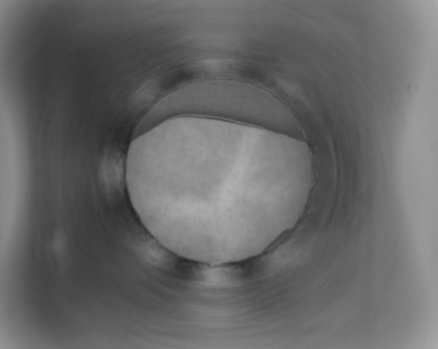 X0000111190336200907291209