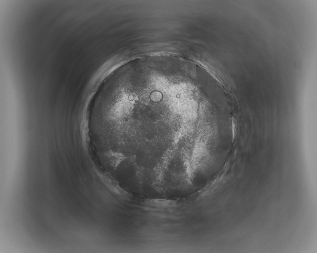 X0000111190339200907291208