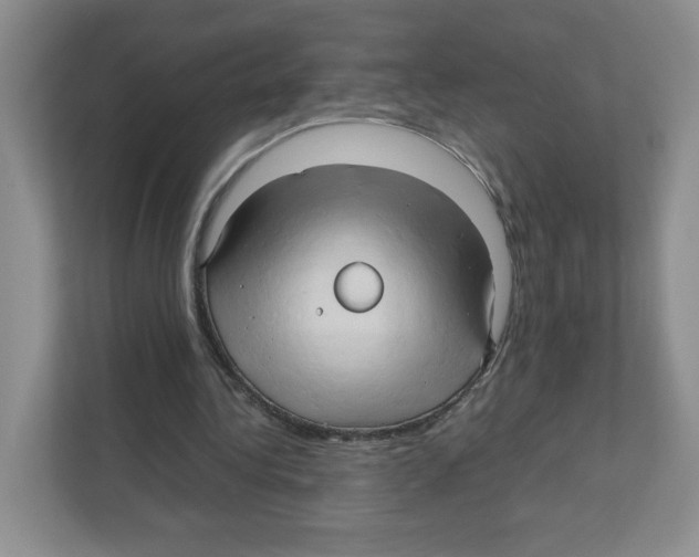 X0000111190340200907291208