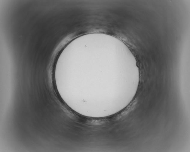 X0000111190341200907291208
