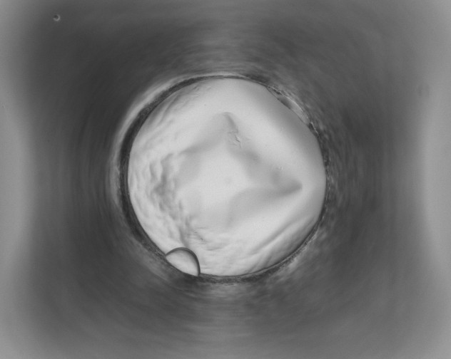 X0000111190342200907291208