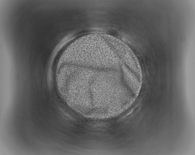 X0000111190343200907291208