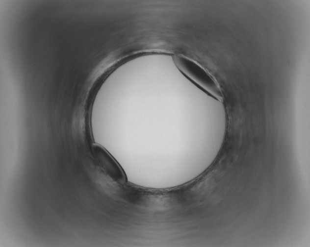 X0000111190344200907291208