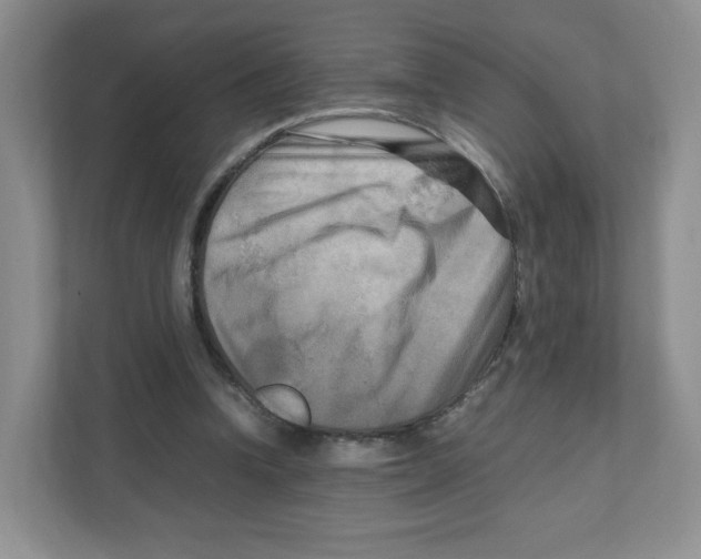 X0000111190346200907291208