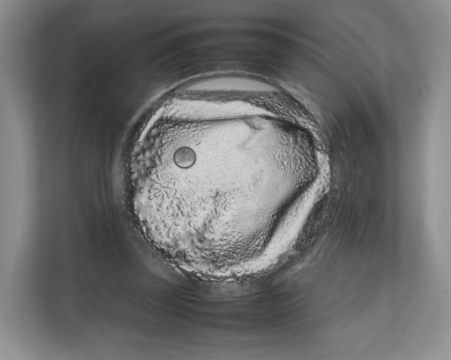 X0000111190347200907291208