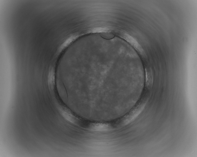 X0000111190348200907291208