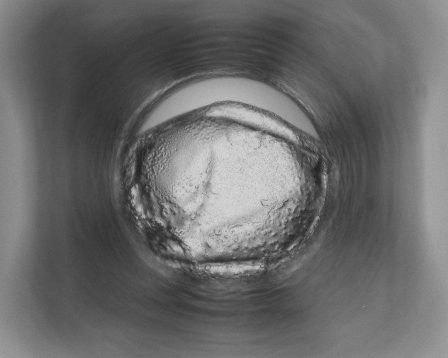 X0000111190351200907291208
