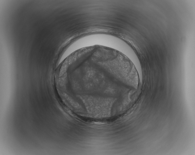X0000111190352200907291208