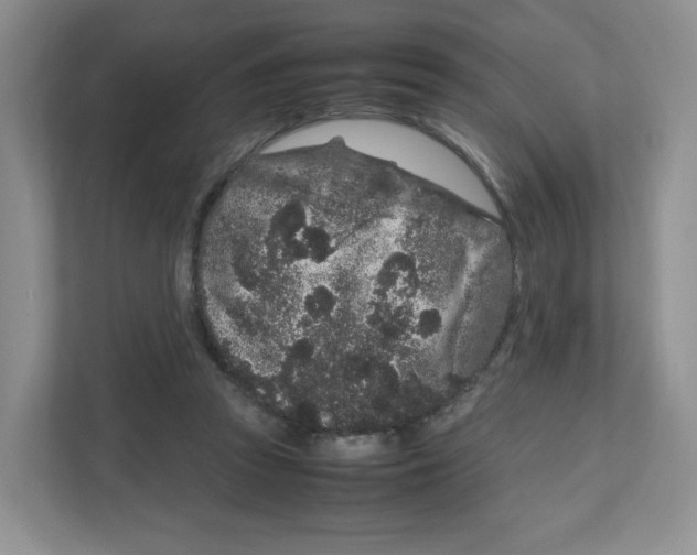 X0000111190353200907291208