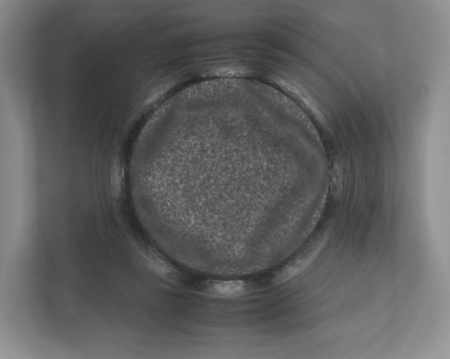 X0000111190355200907291208