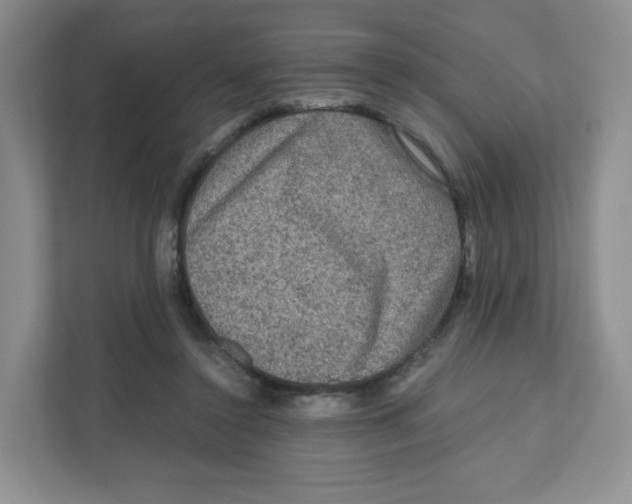 X0000111190356200907291208