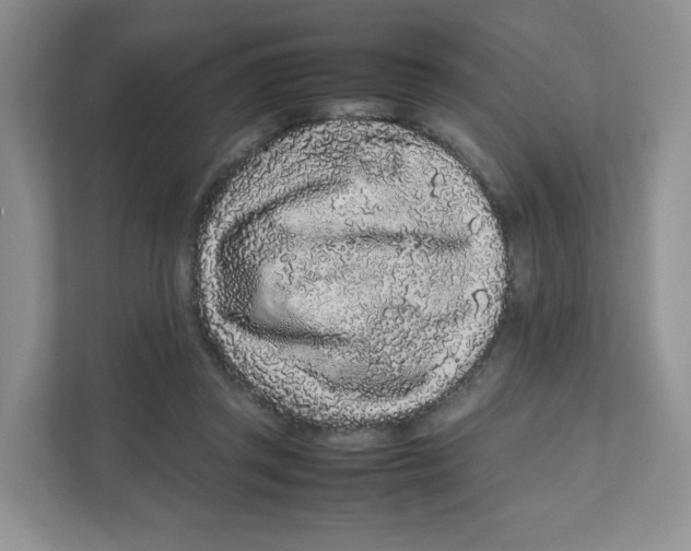 X0000111190357200907291208