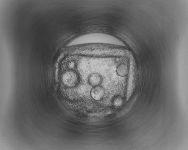 X0000111190359200907291208