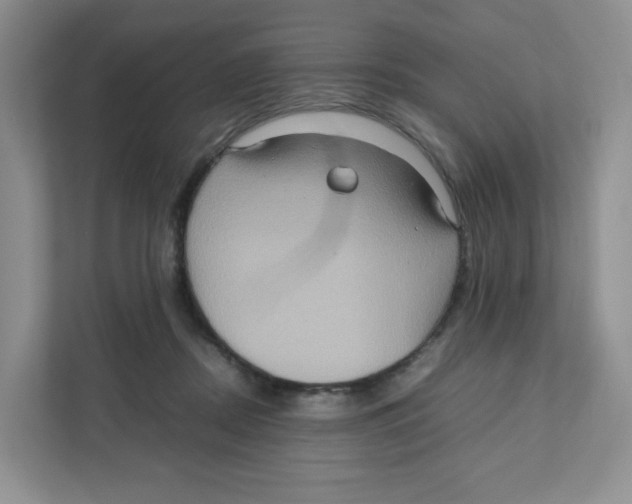 X0000111190362200907291208