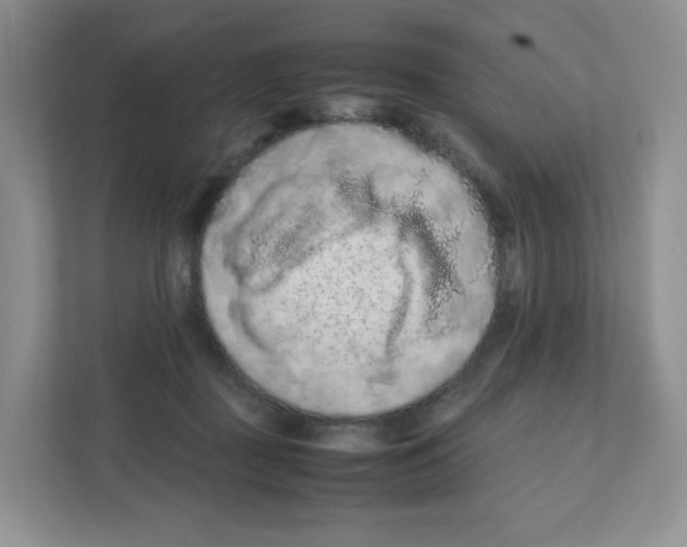 X0000111190363200907291208