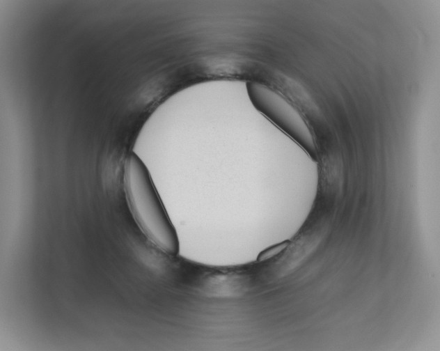 X0000111190364200907291208