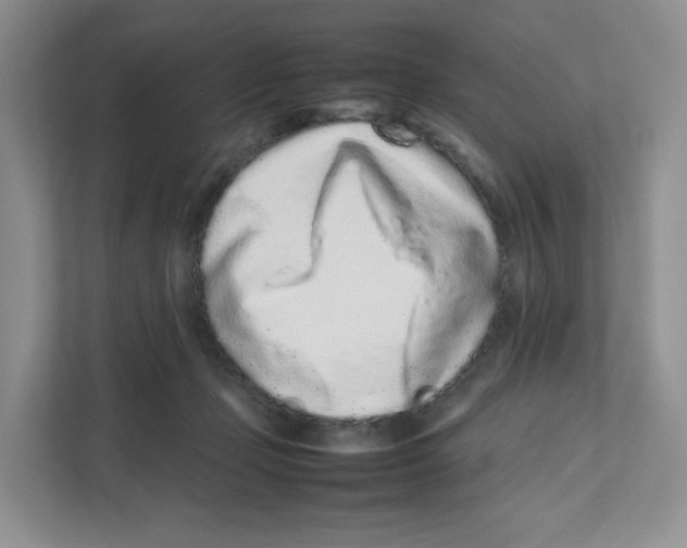 X0000111190365200907291208