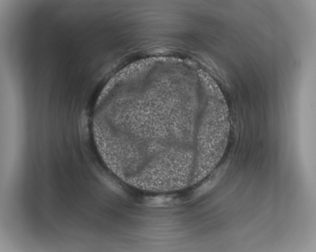 X0000111190366200907291208