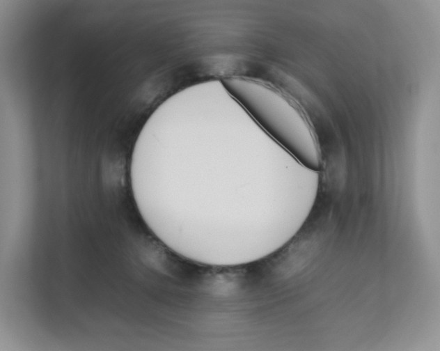 X0000111190368200907291208